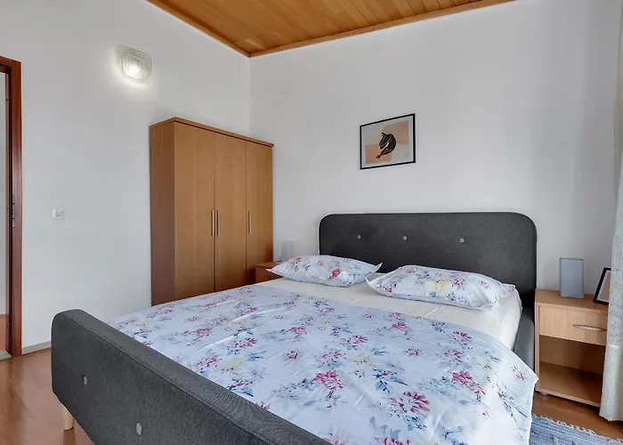 Apartments Paunovic