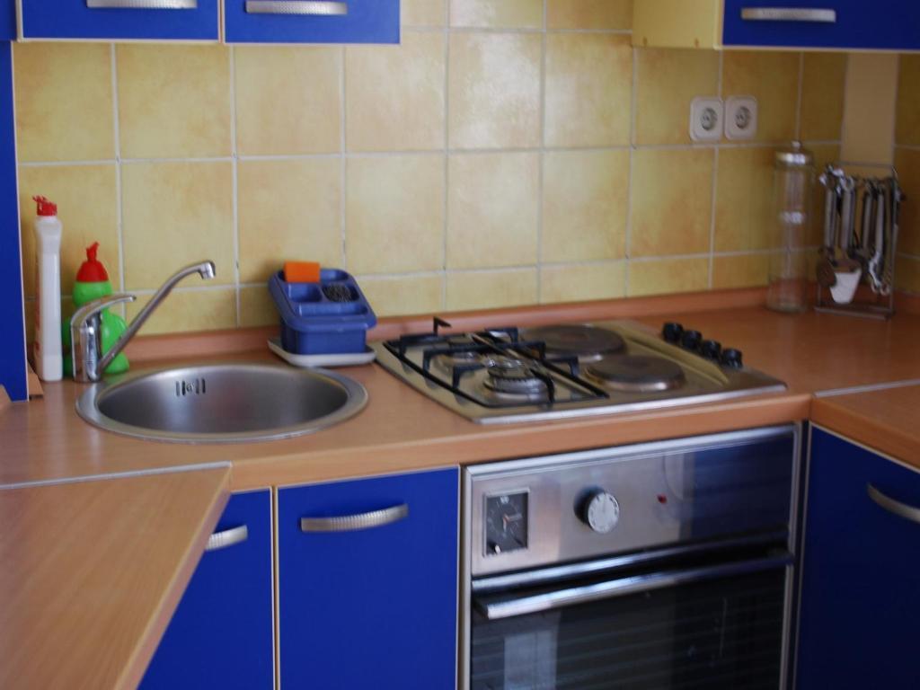 Apartment Paunovic *