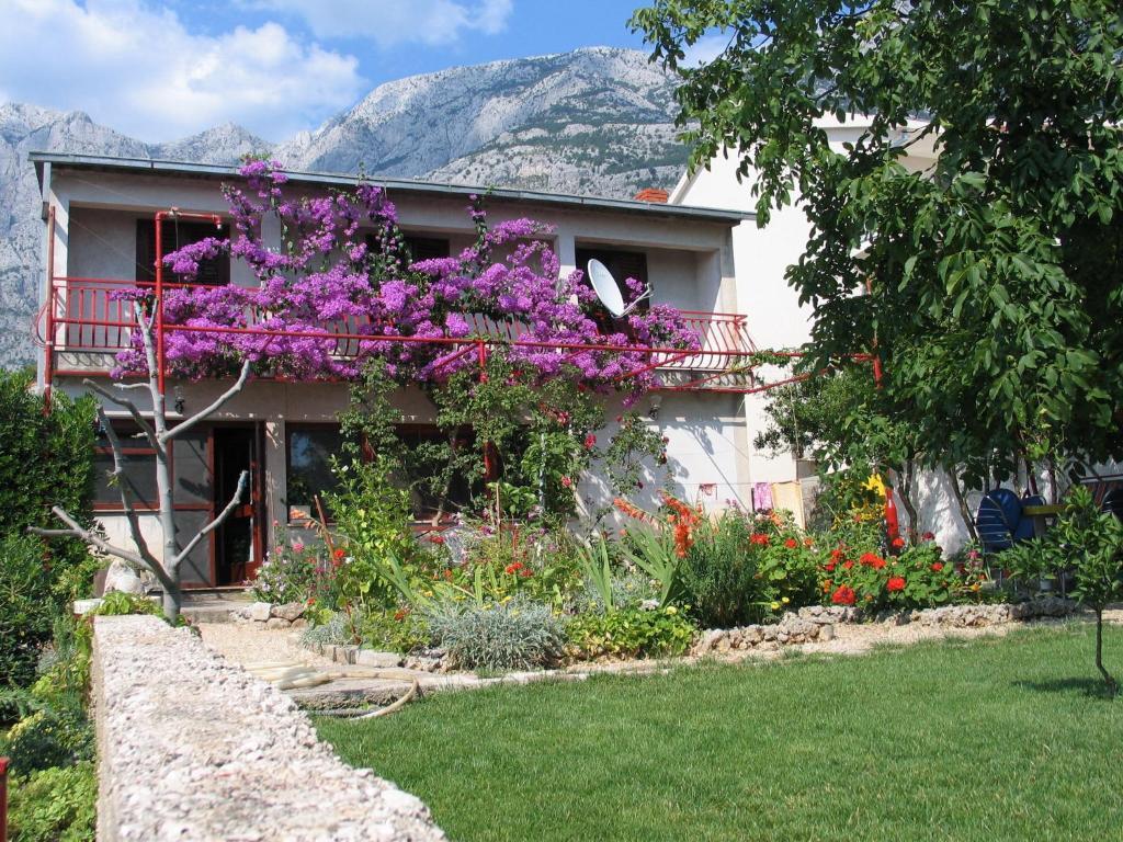 Paunovic * Makarska